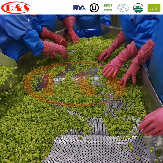 High Quality Oc Riot Tactics Spray Pepper Spray 470ml